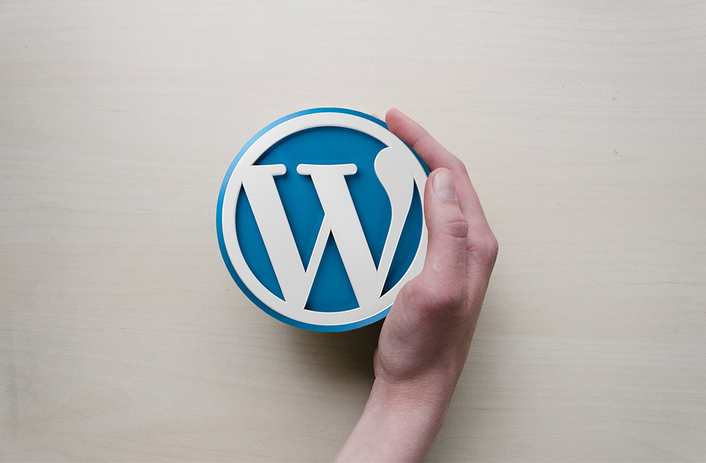 WordPress Beratung